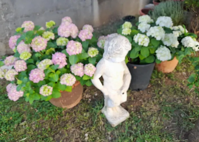 דירה Dubravka פובליאנה