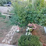 Sunny Terrace Oasis Lejlighed