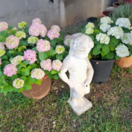 Lejlighed Sunny Terrace Oasis Povljana